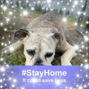 Meet your Posher, Carol